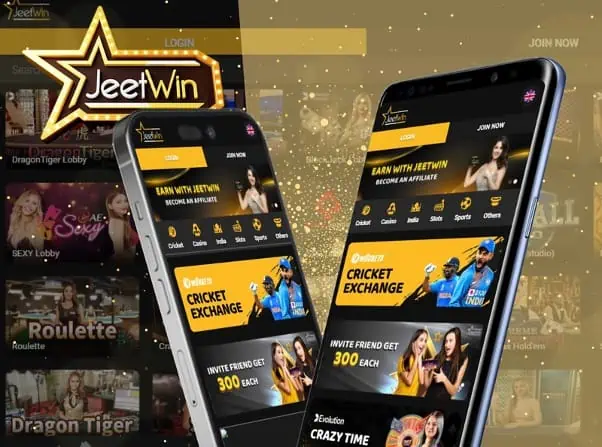 JeeTwin কিভাবে ব্যবহারকারীর অর্থনৈতিক নিরাপত্তা বজায় রাখে?